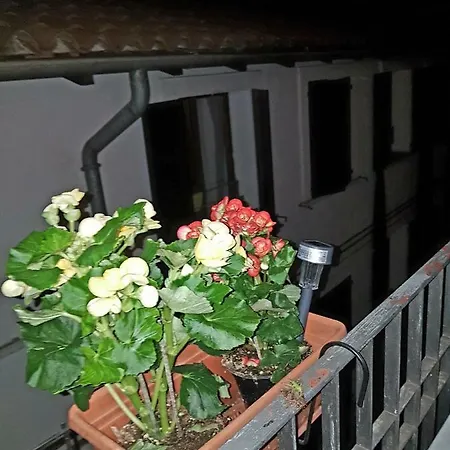 A Casa Di Titti 2 Appartement Verona