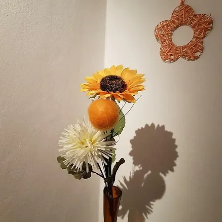 A Casa Di Titti 2 Appartement